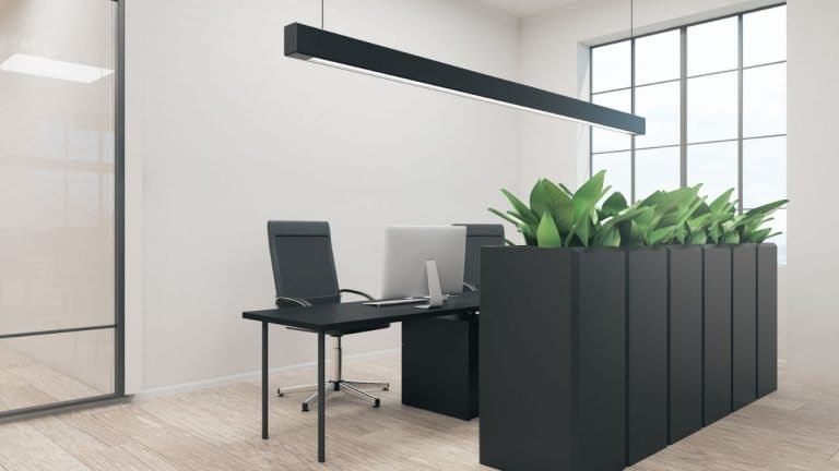 Warm Vs Cool Light For Office: Which One’s Better?